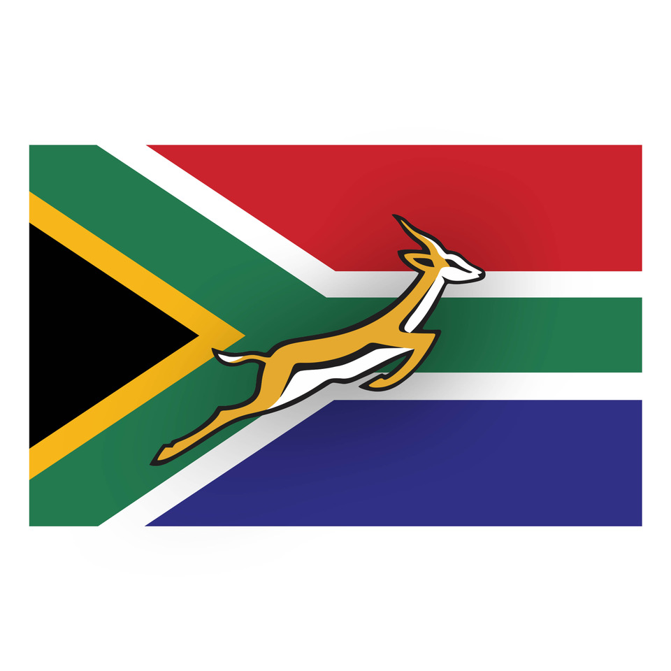 SA Springbok Rugby Tattoos - Image 2